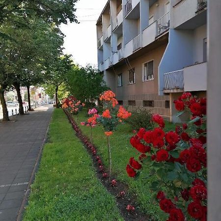 Apartament Apartman Borak Kladovo Zewnętrze zdjęcie